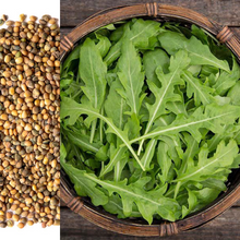 Load image into Gallery viewer, Wild Arugula Seeds
