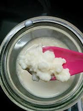 Load image into Gallery viewer, Fresh Local Organic Milk Kefir Grains
